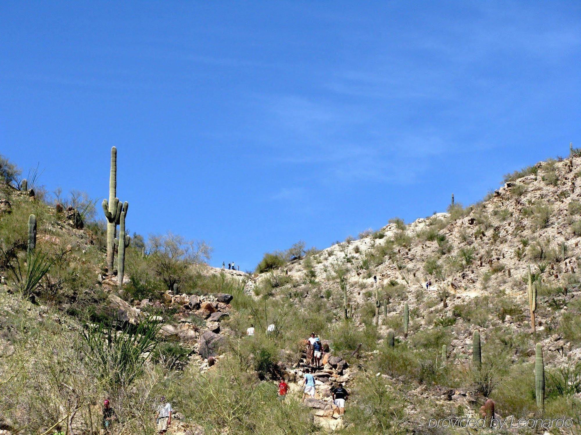 Hampton Inn Phoenix - Biltmore Bagian luar foto